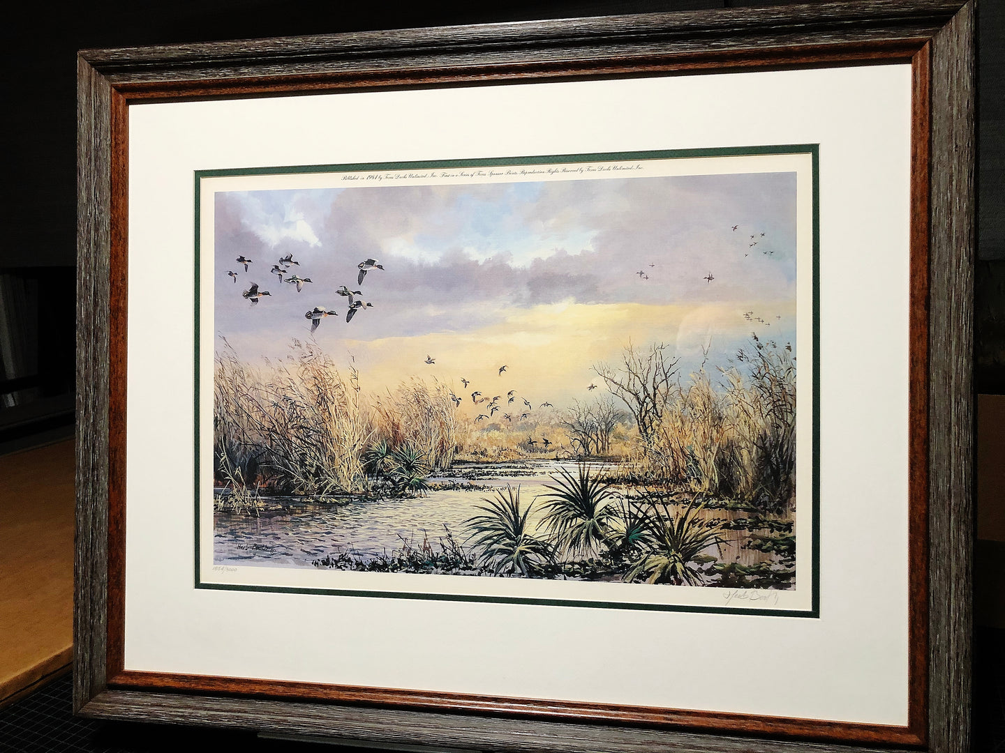 Herb Booth - Teal and Palmetto - Lithograph - Brand New Custom Sporting Frame