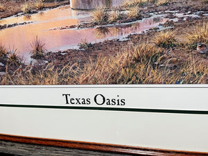 Herb Booth - Texas Oasis - Lithograph - Brand New Custom Sporting Frame