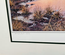 Load image into Gallery viewer, Herb Booth - Texas Oasis - Lithograph - Brand New Custom Sporting Frame