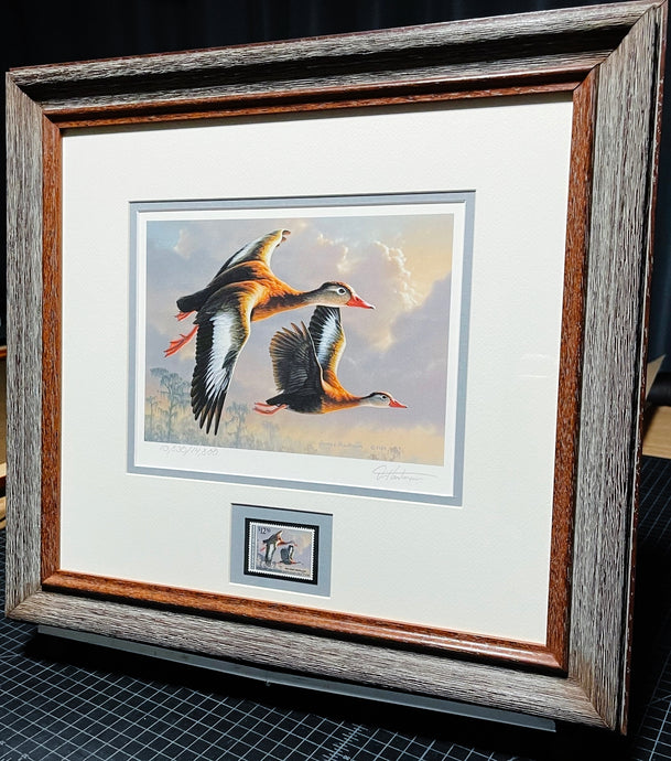 James Hautman 1990 Federal Duck Stamp Print With Stamp Whistling Tree Duck's - Brand New Super Custom Sporting Frame