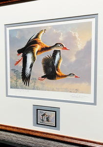 James Hautman 1990 Federal Duck Stamp Print With Stamp Whistling Tree Duck's - Brand New Custom Sporting Frame