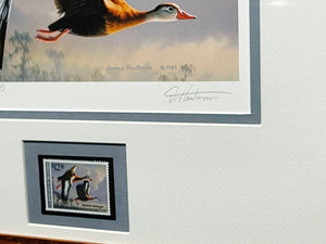 James Hautman 1990 Federal Duck Stamp Print With Stamp Whistling Tree Duck's - Brand New Custom Sporting Frame