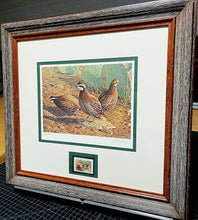 Load image into Gallery viewer, James Hautman - 1994 Texas Quail Stamp Print With Stamp - Brand New Custom Sporting Frame