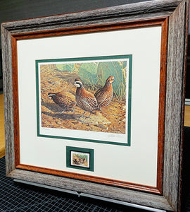 James Hautman - 1994 Texas Quail Stamp Print With Stamp - Brand New Custom Sporting Frame