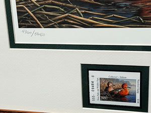 James Hautman - 1997 Texas Migratory Waterfowl Duck Stamp Print With Double Stamps - Brand New Custom Sporting Frame