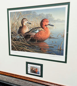 James Hautman - 1997 Texas Migratory Waterfowl Duck Stamp Print With Double Stamps - Brand New Custom Sporting Frame