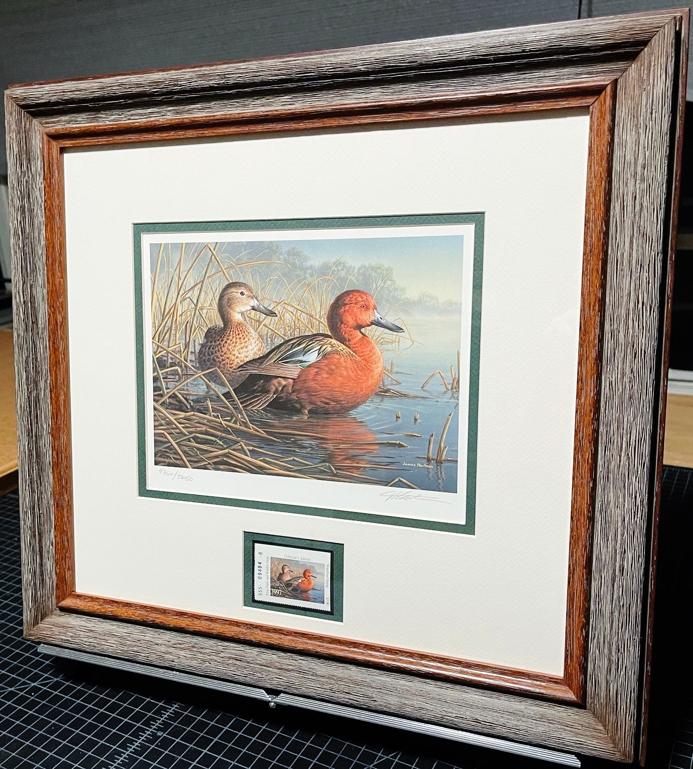 James Hautman 1997 Texas Waterfowl Duck Stamp Print With Stamp - Brand New Super Custom Sporting Frame
