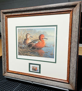 James Hautman - 1997 Texas Migratory Waterfowl Duck Stamp Print With Double Stamps - Brand New Custom Sporting Frame