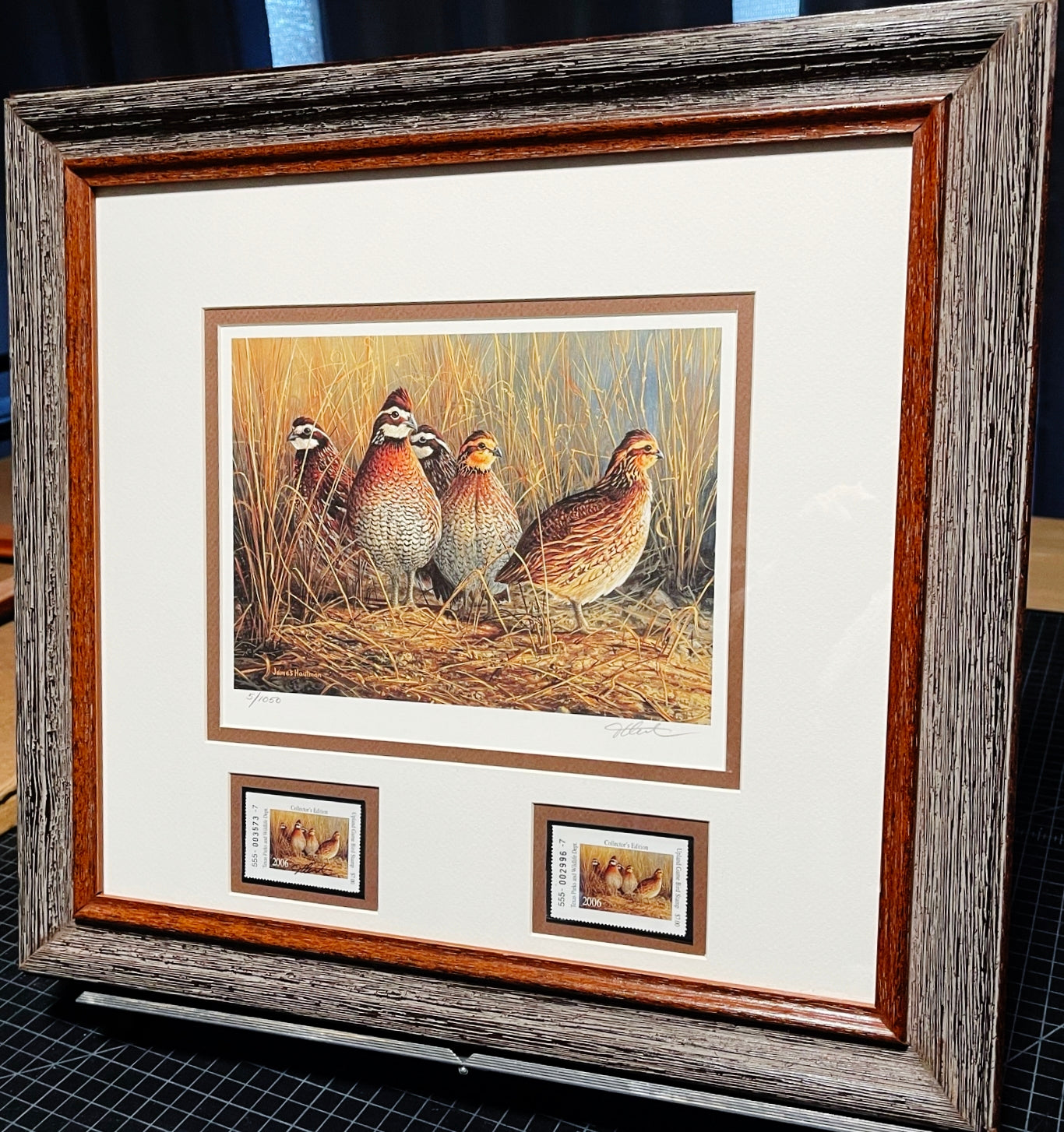 James Hautman 2006 Texas Upland Game Bird Stamp Stamp Print With Double Stamps - Brand New Custom Sporting Frame