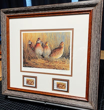 Load image into Gallery viewer, James Hautman 2006 Texas Upland Game Bird Stamp Stamp Print With Double Stamps - Brand New Super Custom Sporting Frame