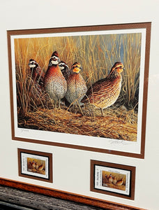James Hautman 2006 Texas Upland Game Bird Stamp Stamp Print With Double Stamps - Brand New Super Custom Sporting Frame