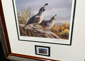 James Hautman 2009 Texas Texas Upland Game Bird Stamp Stamp Print With Stamp - Brand New Super Custom Sporting Frame