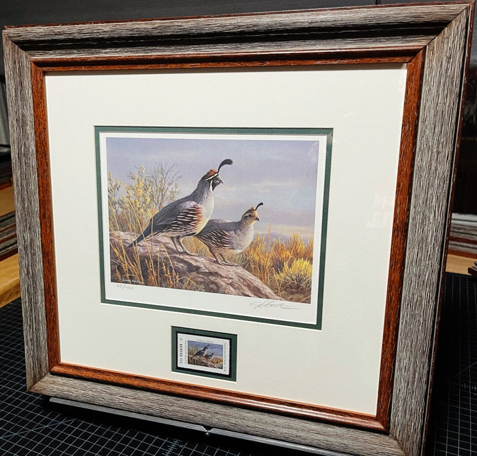 James Hautman 2009 Texas Texas Upland Game Bird Stamp Stamp Print With Stamp - Brand New Super Custom Sporting Frame