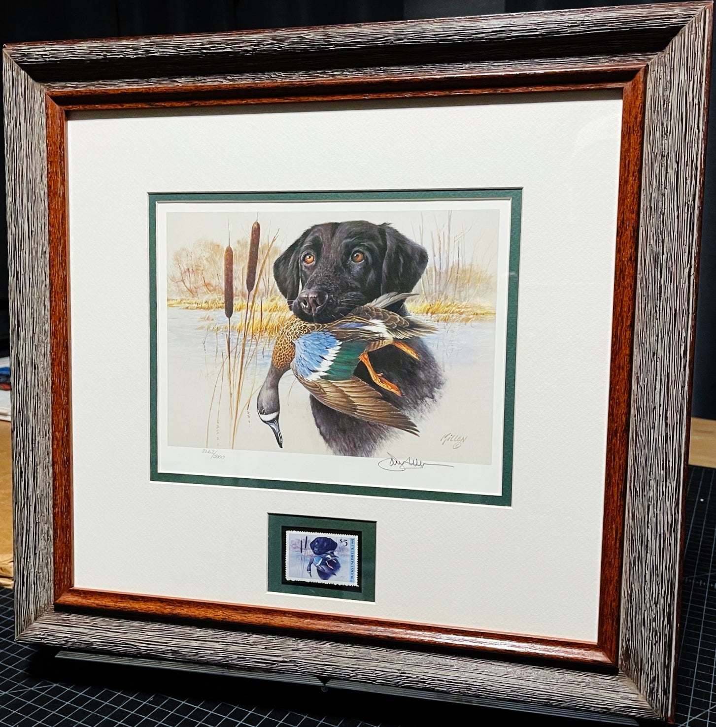 James Killen 1991 Ducks Unlimited Stamp Print With Stamp - Brand New Custom Sporting Frame