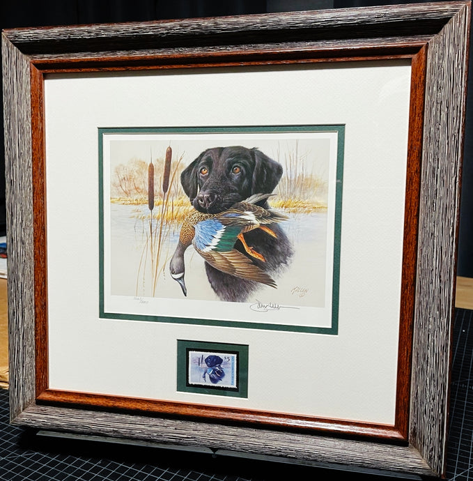 James Killen 1991 Ducks Unlimited Stamp Print With Stamp - Brand New Custom Sporting Frame