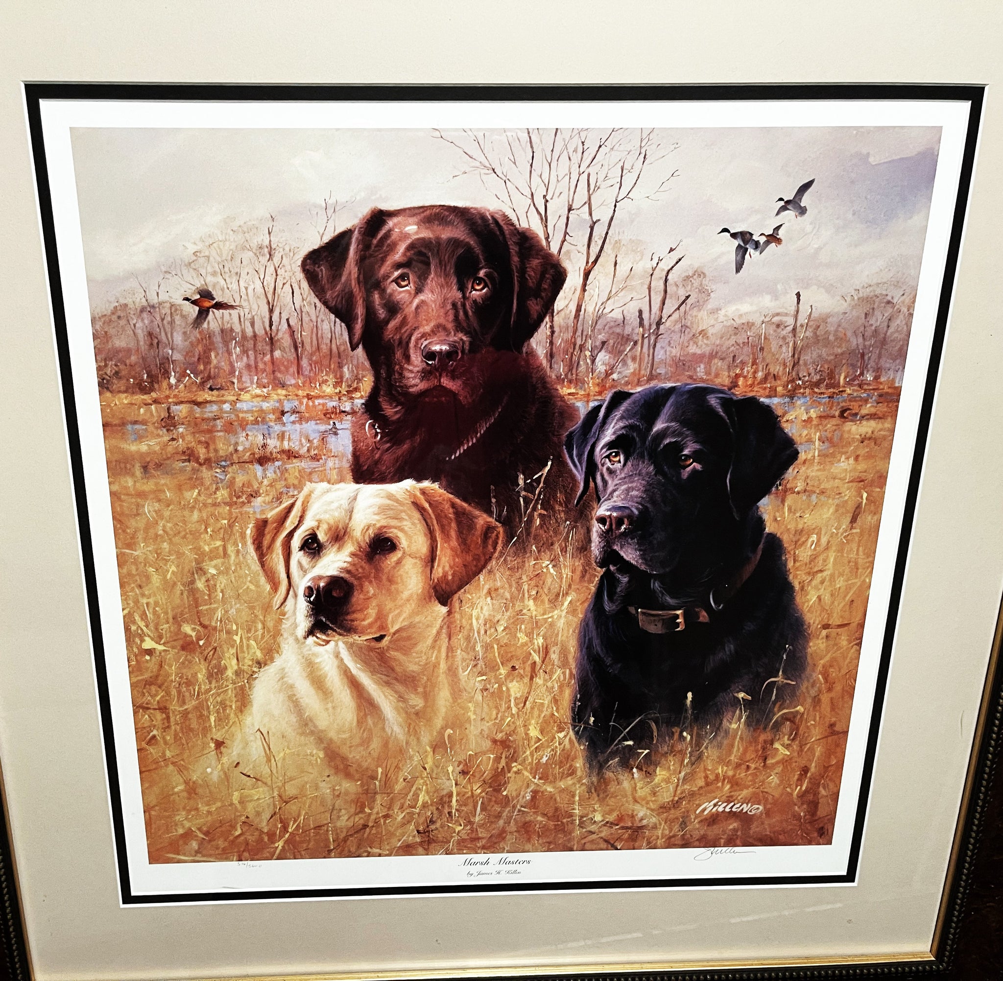 Duck Riding A Lab Ducks Unlimited Yellow Lab