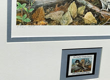 Load image into Gallery viewer, Jim Foote 1979 The Ruffed Grouse Society Conservation Stamp Print With Stamp - Brand New Super Custom Sporting Frame