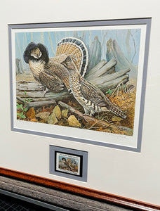 Jim Foote 1979 The Ruffed Grouse Society Conservation Stamp Print With Stamp - Brand New Super Custom Sporting Frame