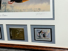 Load image into Gallery viewer, James Hautman 1990 Federal Waterfowl Duck Stamp Print Medallion Edition With Double Stamps - Brand New Custom Sporting Frame