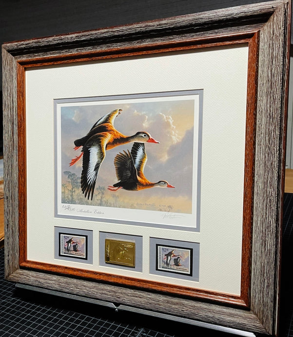 James Hautman 1990 Federal Waterfowl Duck Stamp Print Medallion Edition With Double Stamps - Brand New Super Custom Sporting Frame