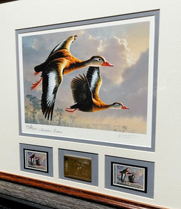James Hautman 1990 Federal Waterfowl Duck Stamp Print Medallion Edition With Double Stamps - Brand New Custom Sporting Frame