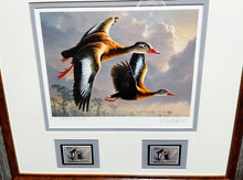 Load image into Gallery viewer, James Hautman 1990 Federal Migratory Duck Stamp Print With Double Stamps - Brand New Super Custom Sporting Frame