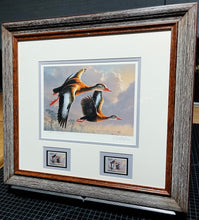Load image into Gallery viewer, James Hautman - 1990 Federal Migratory Duck Stamp Print With Double Stamps - Brand New Custom Sporting Frame