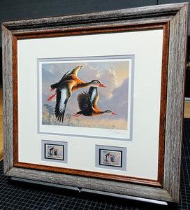 James Hautman 1990 Federal Migratory Duck Stamp Print With Double Stamps - Brand New Super Custom Sporting Frame