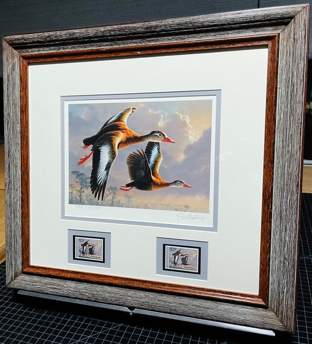 James Hautman 1990 Federal Migratory Duck Stamp Print With Double Stamps - Brand New Super Custom Sporting Frame