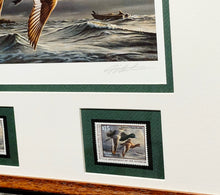 Load image into Gallery viewer, James Hautman 1999 Federal Waterfowl Duck Stamp Print With Double Stamps - Brand New Super Custom Sporting Frame