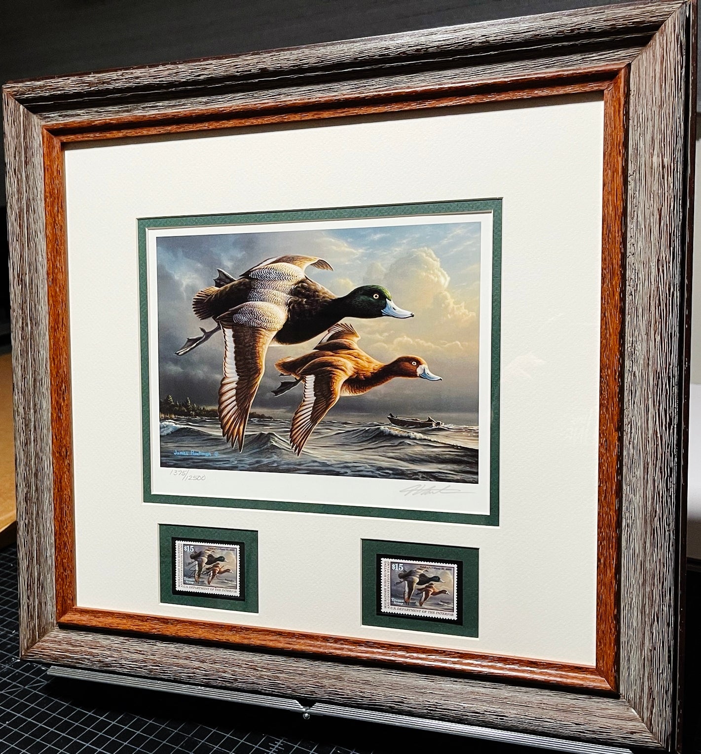 James Hautman 1999 Federal Waterfowl Duck Stamp Print With Double Stamps - Brand New Super Custom Sporting Frame