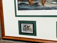 Load image into Gallery viewer, James Hautman 1999 Federal Waterfowl Duck Stamp Print With Double Stamps - Brand New Super Custom Sporting Frame
