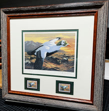 Load image into Gallery viewer, Joe Hautman 1992 Federal Migratory Duck Stamp Print With Double Stamps - Brand New Super Custom Sporting Frame