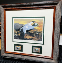 Load image into Gallery viewer, Joe Hautman - 1992 Federal Migratory Duck Stamp Print With Double Stamps - Brand New Custom Sporting Frame