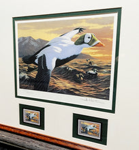 Load image into Gallery viewer, Joe Hautman - 1992 Federal Migratory Duck Stamp Print With Double Stamps - Brand New Custom Sporting Frame