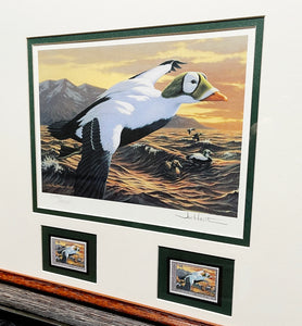 Joe Hautman 1992 Federal Migratory Duck Stamp Print With Double Stamps - Brand New Super Custom Sporting Frame