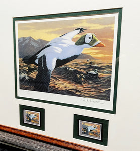 Joe Hautman 1992 Federal Migratory Duck Stamp Print With Double Stamps - Brand New Custom Sporting Frame