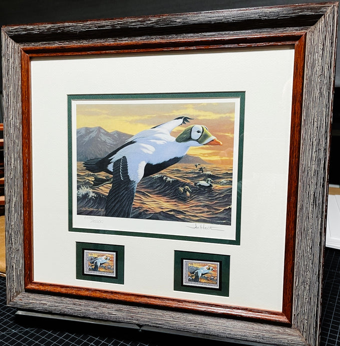 Joe Hautman 1992 Federal Migratory Duck Stamp Print With Double Stamps - Brand New Super Custom Sporting Frame