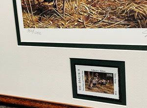 Joe Hautman 1998 Texas Turkey Stamp Print With Stamp - Brand New Custom Sporting Frame