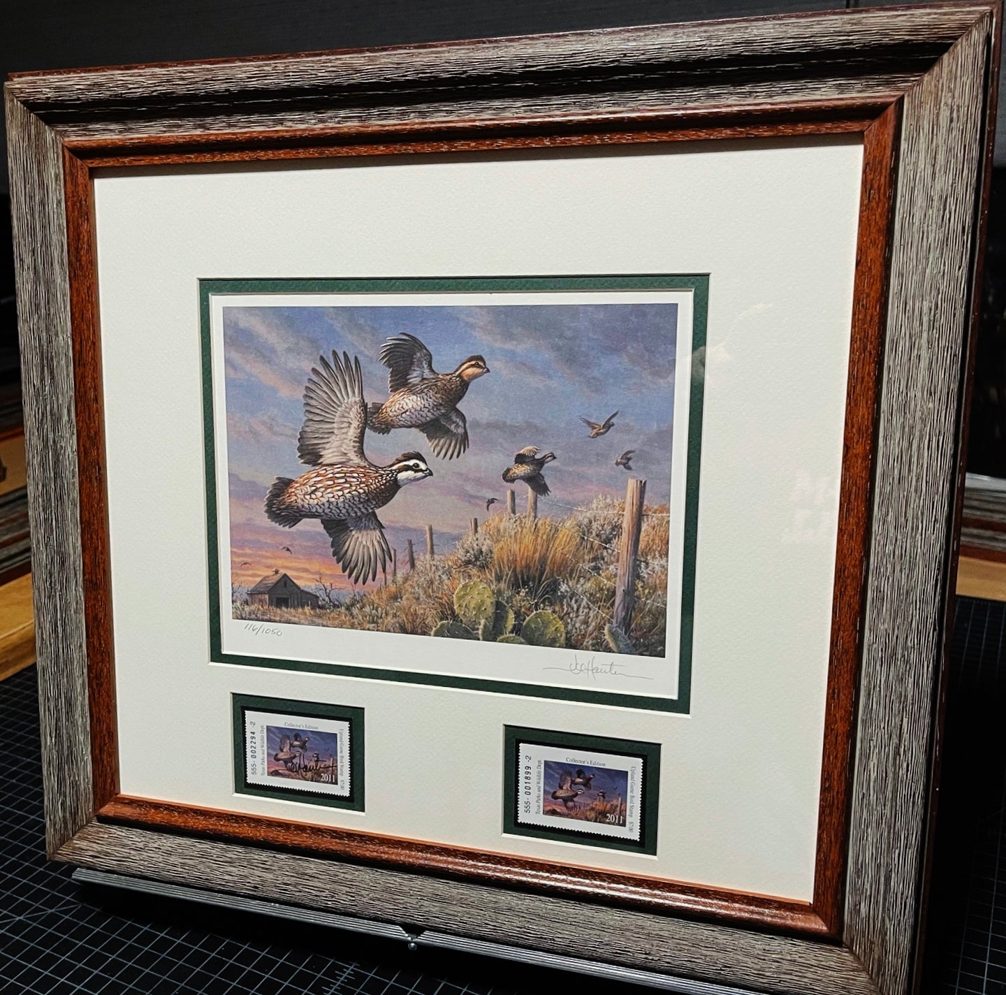 Joe Hautman - 2011 Texas Upland Game Bird Stamp Stamp Print With Double Stamps - Brand New Custom Sporting Frame