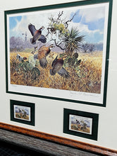 Load image into Gallery viewer, John P. Cowan - 1991 Texas Quail Stamp Print With Double Stamps - Brand New Custom Sporting Frame