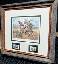 Load image into Gallery viewer, John P. Cowan - 1991 Texas Quail Stamp Print With Double Stamps - Brand New Custom Sporting Frame