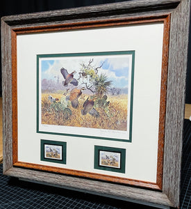 John P. Cowan 1991 Texas Quail Stamp Print With Double Stamps - Brand New Custom Sporting Frame
