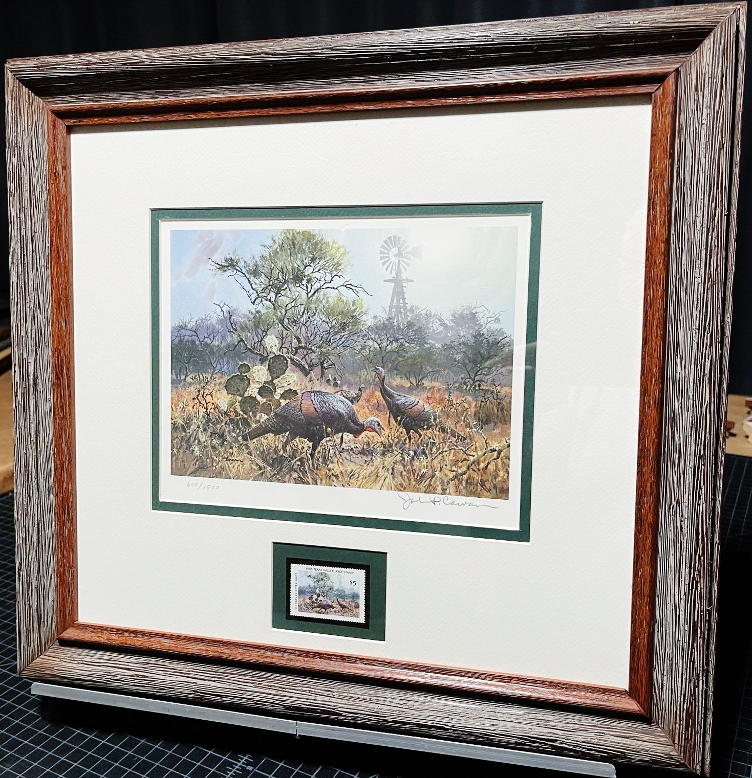 John P. Cowan 1985 Texas Wild Turkey Stamp Print With Stamp - Brand New Super Custom Sporting Frame