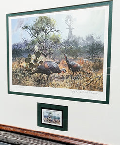 John P. Cowan 1985 Texas Wild Turkey Stamp Print With Stamp - Brand New Super Custom Sporting Frame