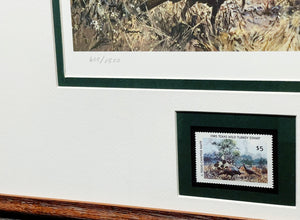 John P. Cowan 1985 Texas Wild Turkey Stamp Print With Stamp - Brand New Super Custom Sporting Frame