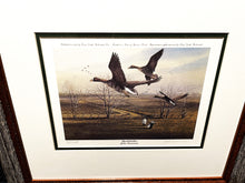 Load image into Gallery viewer, John Dearman 1987 Texas Ducks Unlimited Sponsor Lithograph Print Artist Proof - Brand New Super Custom Sporting Frame