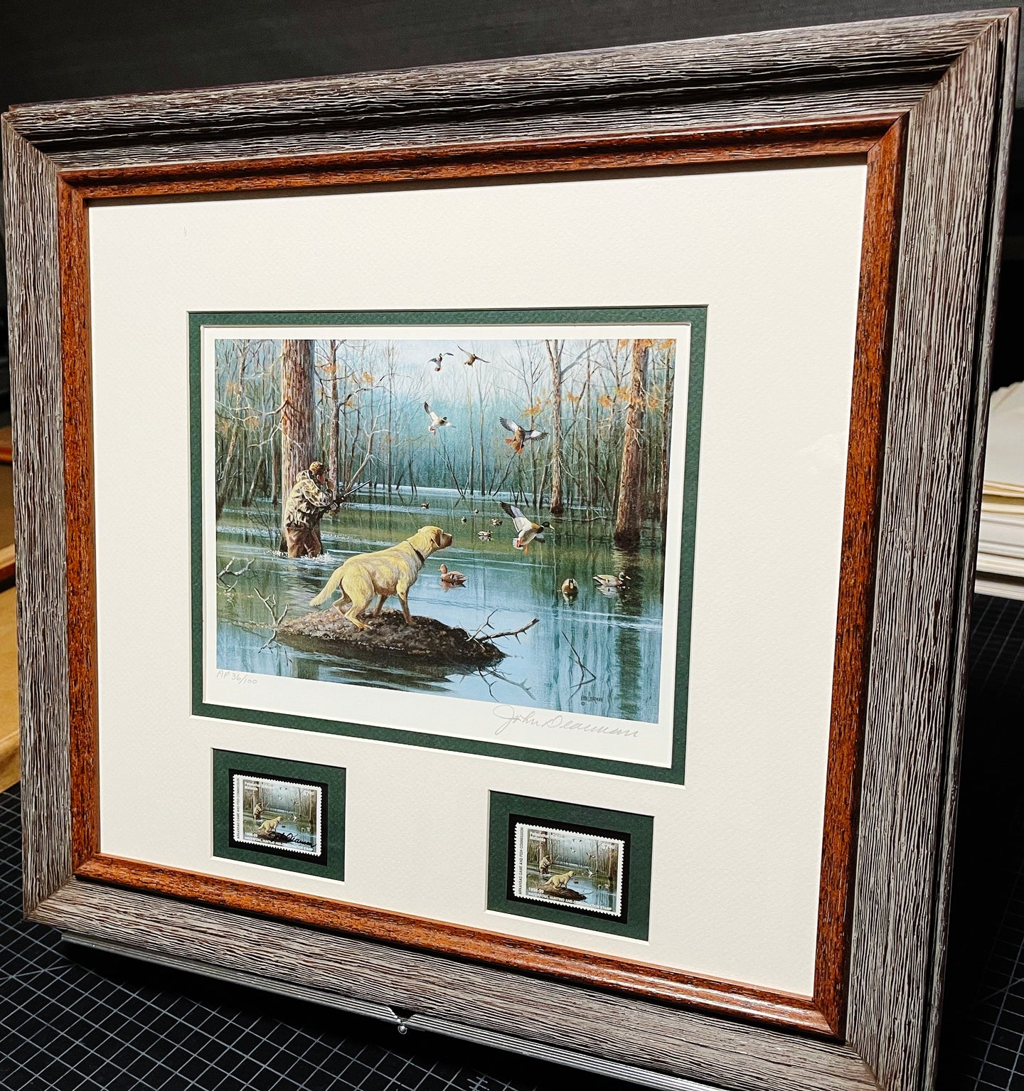 John Dearman - 1998 Arkansas Duck Migratory Waterfowl Stamp Print With Double Stamps - AP - Brand New Custom Sporting Frame