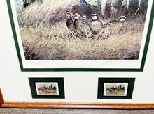 Load image into Gallery viewer, John Dearman 1998 Texas Quail Stamp Print With Double Stamps - Brand New Super Custom Sporting Frame