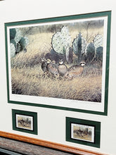 Load image into Gallery viewer, John Dearman 1998 Texas Quail Stamp Print With Double Stamps - Brand New Super Custom Sporting Frame